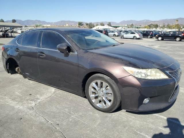 2014 Lexus ES300h | Maroon | 2.5L | VIN: JTHBW1GG5E2064366